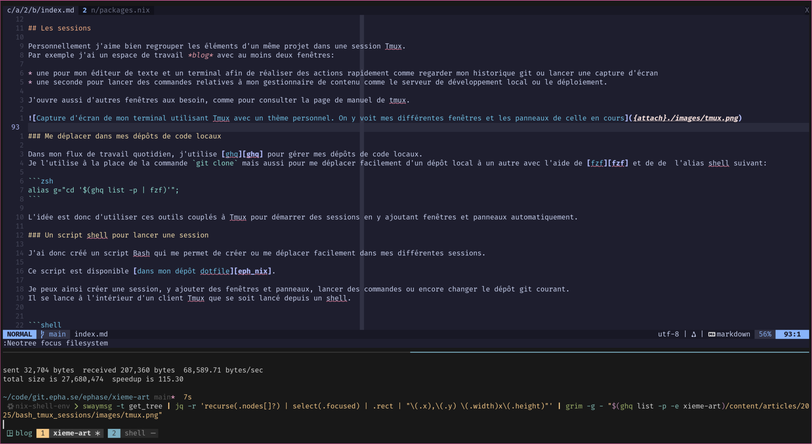 Capture d'écran de mon terminal utilisant Tmux avec un thème personnel. On y voit mes différentes fenêtres et les panneaux de celle en cours
